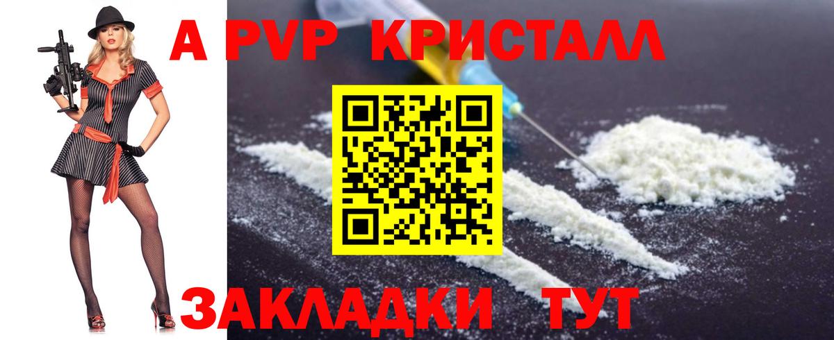 Alfa_PVP крисы CK  Альфа ПВП СК КРИС  Кимовск  Вход с VPN 